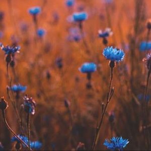 Meet your Posher, Eva